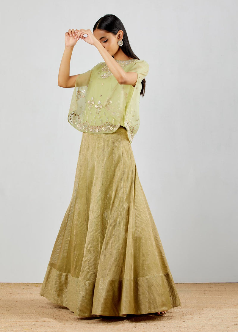 Sage Green Ape With Gold Textured Paneled Skirt