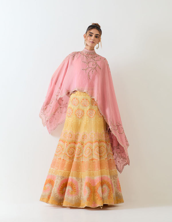 Salmon Pink With Yellow Cape & Skirt