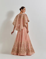 Desert Rose Cape Paired With Fully Embroidered Skirt