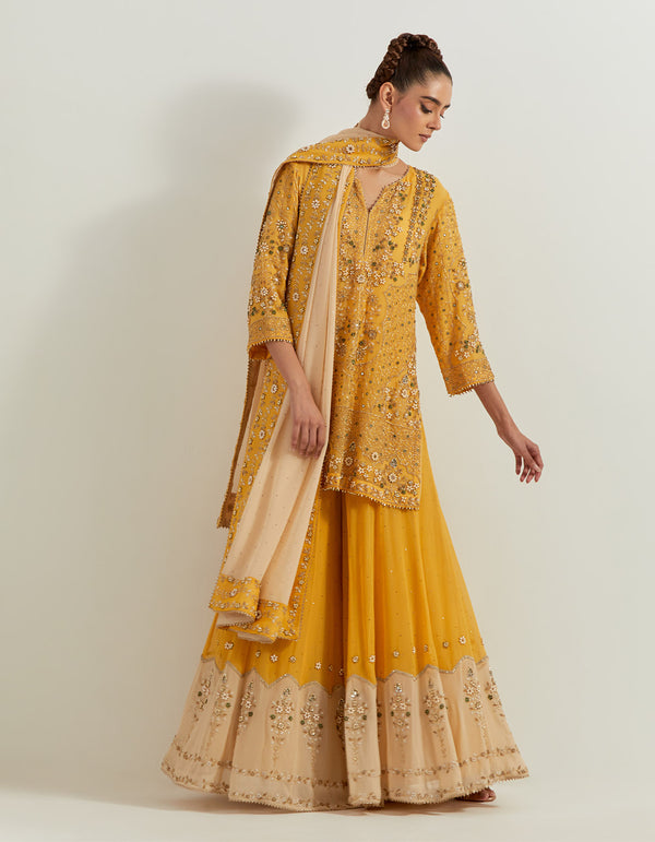 Yellow Pure Georgette And Silk Organza Pearl Zardozi Embroidery Sharara Set