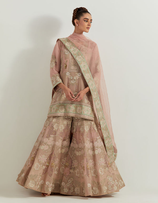 Pink Organza Resham And Pearl Embroidered Sharara Set