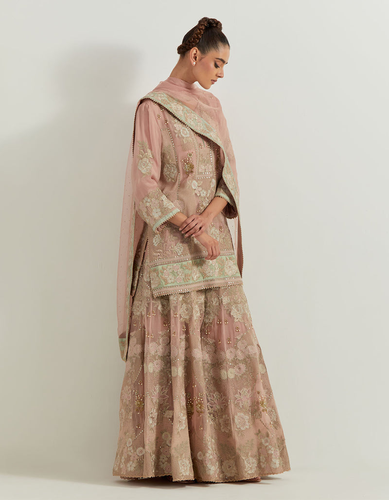 Pink Organza Resham And Pearl Embroidered Sharara Set