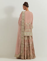 Pink Organza Resham And Pearl Embroidered Sharara Set