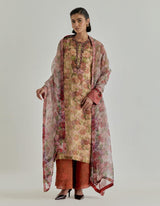 Multicolor Rosette Nomad Tissue Chanderi Kurta Set