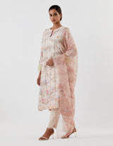 Nude Pink Embellished and Printed Kurta Set