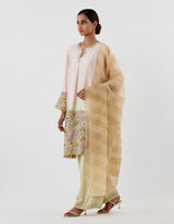 Pink OmbrÃ© Dyed Flared Kurta with Farshi Salwar