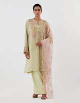 Green Embroidered Abha Organza and Satin Kurta Set