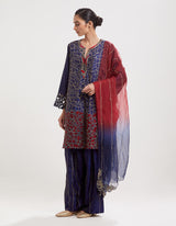 Blue Applique Hand Embroidered Kurta Set