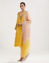 Yellow Hand Embroidered and Printed Kurta with Salwar and Dupatta