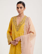 Yellow Hand Embroidered and Printed Kurta with Salwar and Dupatta