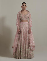 Pink Embroidered Lehnga Set