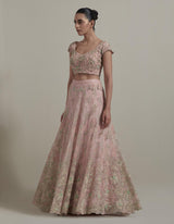Pink Embroidered Lehnga Set