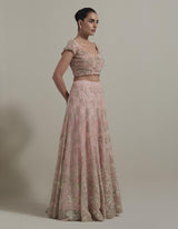 Pink Embroidered Lehnga Set
