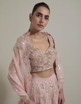 Pink Embroidered Lehnga Set