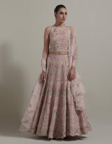 Pink Embellished Lehenga Set