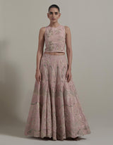 Pink Embellished Lehenga Set