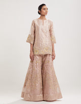 Nude Pink Embroidered Tissue Kurta with Sharara Set