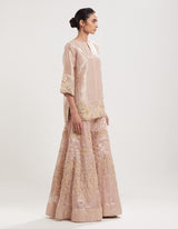 Nude Pink Embroidered Tissue Kurta with Sharara Set