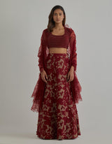 Gold Red Embroidered Lehenga Set
