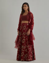 Gold Red Embroidered Lehenga Set