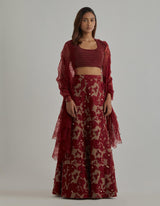 Gold Red Embroidered Lehenga Set
