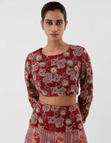 Red Embellished Crop Top with Lehenga Set