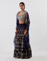 Blue Embroidered Lehenga with Blouse and Dupatta