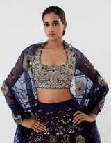 Blue Embroidered Lehenga with Blouse and Dupatta