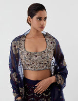 Blue Embroidered Lehenga with Blouse and Dupatta