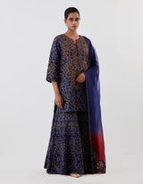 Blue Embroidered Applique Sharara Set
