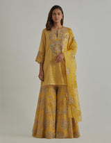 Yellow Embroidered Sharara Set