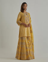 Yellow Embroidered Sharara Set