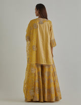 Yellow Embroidered Sharara Set