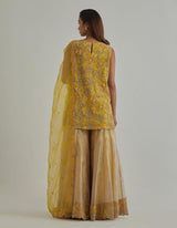Yellow Tissue Sharara Set