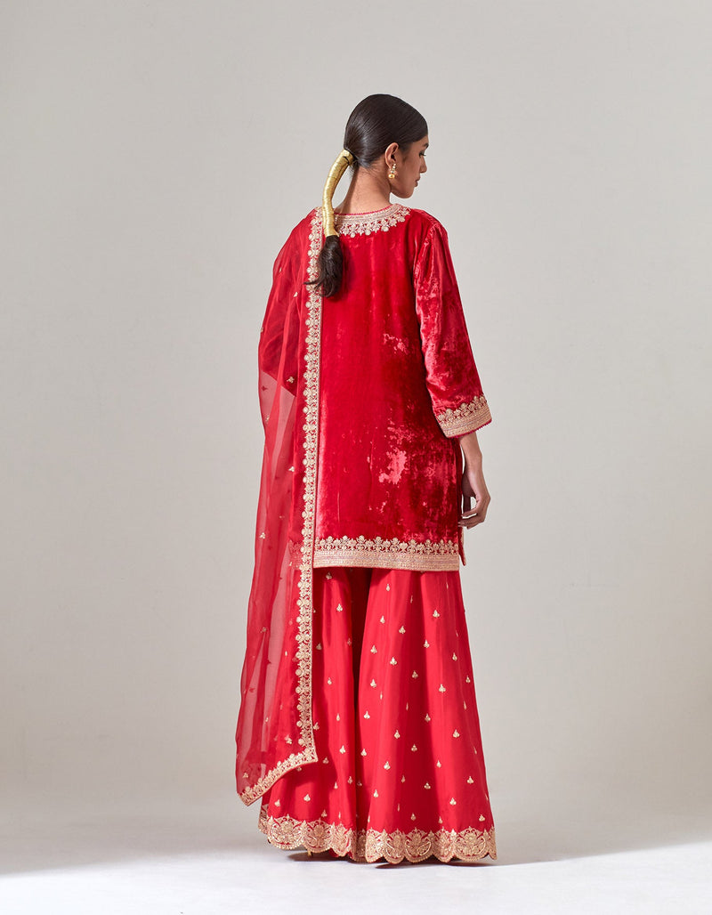 Red Silk Velvet Sharara Set with Gota Marorri Hand Embroidery