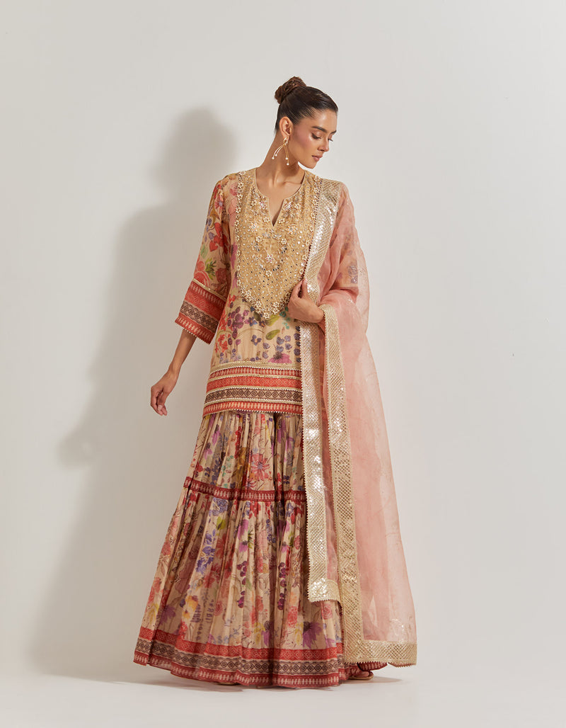 Blooming Burst Tissue Chanderi Sharara Set With Hand Embellished Neckline