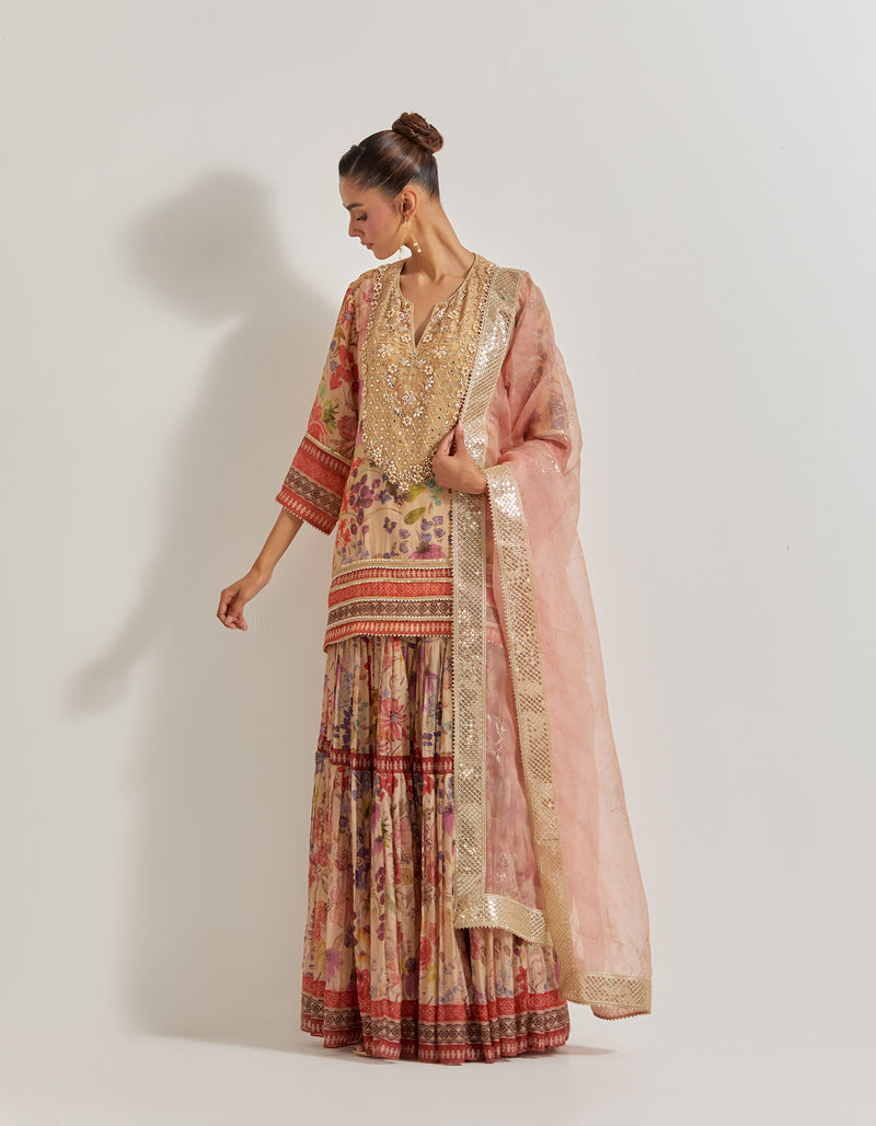 Blooming Burst Tissue Chanderi Sharara Set With Hand Embellished Neckline