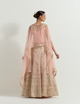 Pink Raeth Cape With Skirt