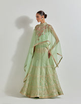 Mint Green Desert Rose Dupatta Cape And Skirt In Organza Silk