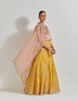 Pink with Yellow Desert Rose Pink And Yellow Cape Set