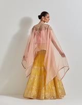 Pink with Yellow Desert Rose Pink And Yellow Cape Set