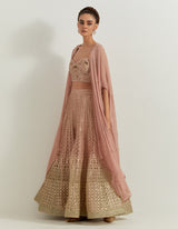 Desert Rose Ombrey Skirt And Bhstier With Chiffon Cape
