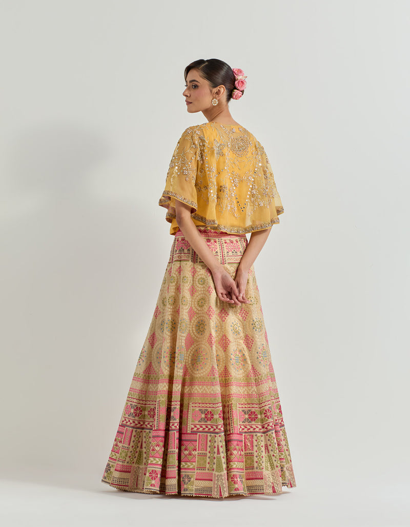 Yellow Raeth Cape With Skirt In Organza