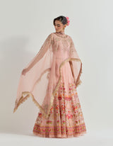 Pink Raeth Cape With Skirt In Organza Fabric