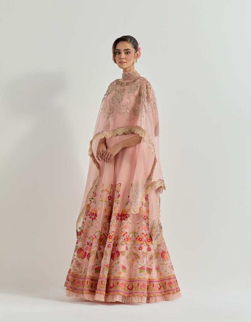 Pink Raeth Cape With Skirt In Organza Fabric