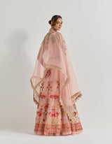 Pink Raeth Cape With Skirt In Organza Fabric