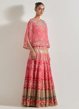 Pink Sajawat Mirror Work Cape Paired With Embroidered Skirt