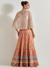 Pink Sajawat Tissue Hand Embellished Cape Paired With Embroidered Skirt