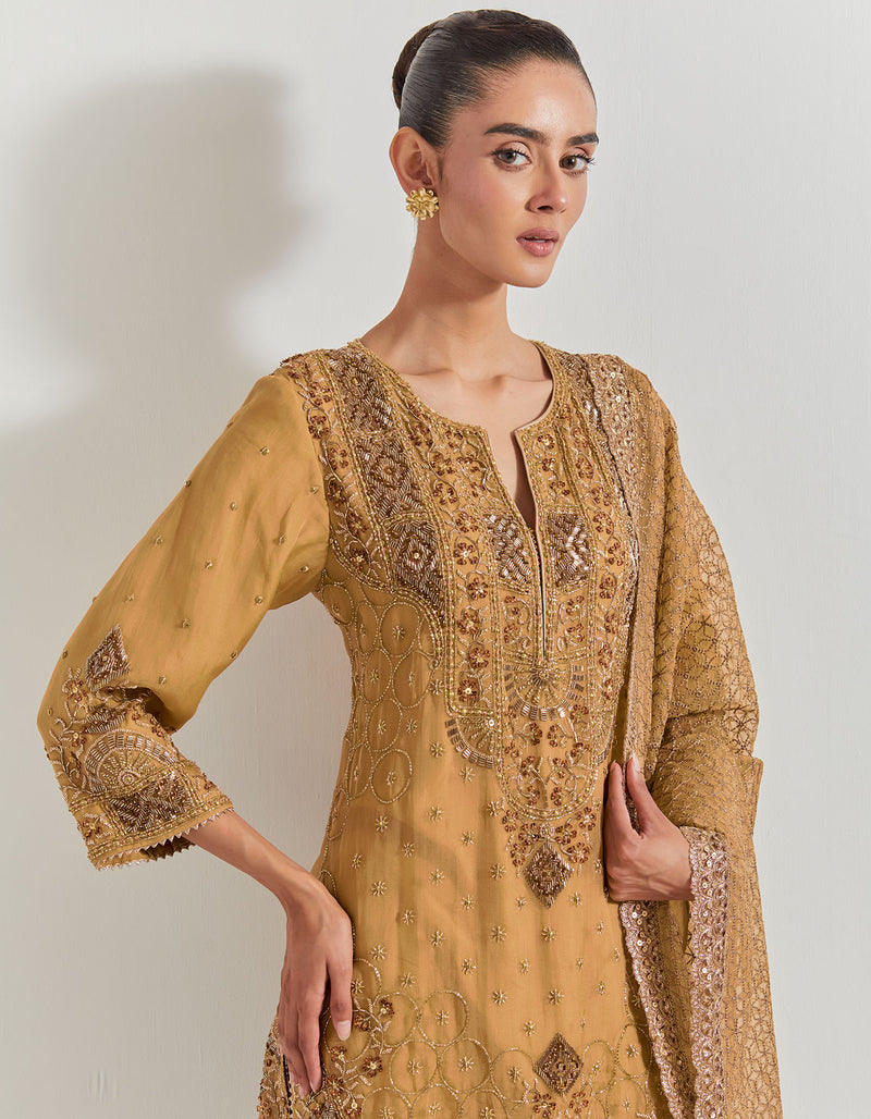 Spicy Glam Pleated Sharara Paired With Hand Embellished Kurti And Dupatta