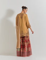 Spicy Glam Pleated Sharara Paired With Hand Embellished Kurti And Dupatta
